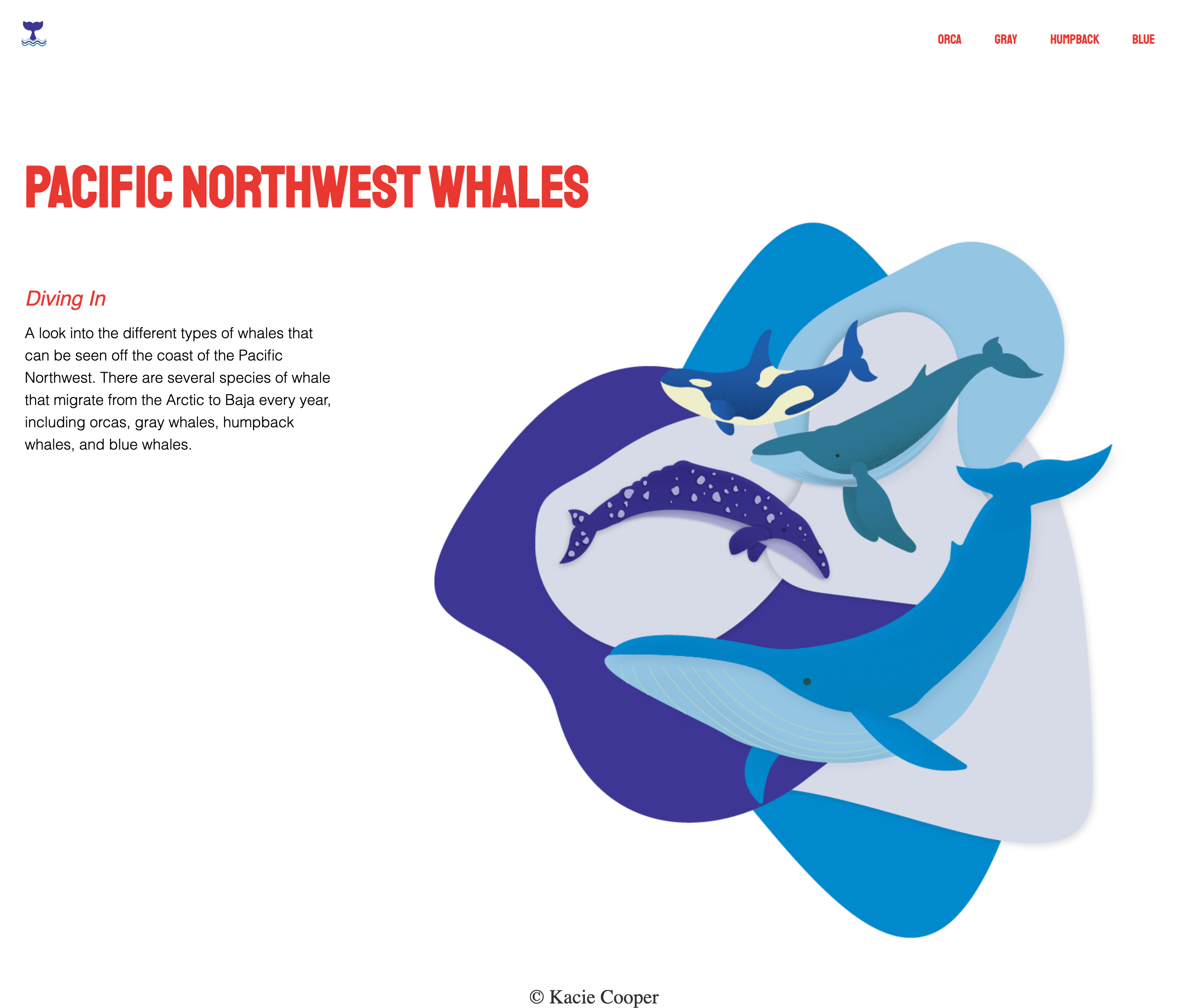 Kacie Wooper Pacific Northwest Whales