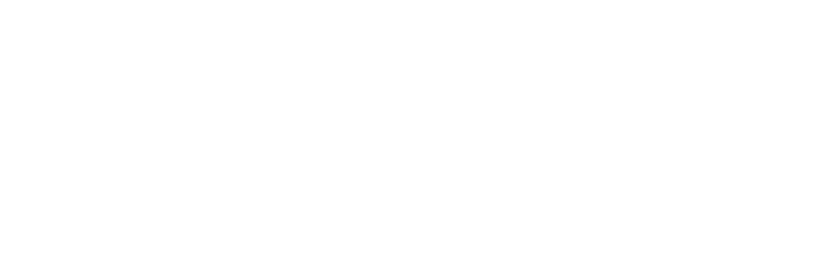 Noodle